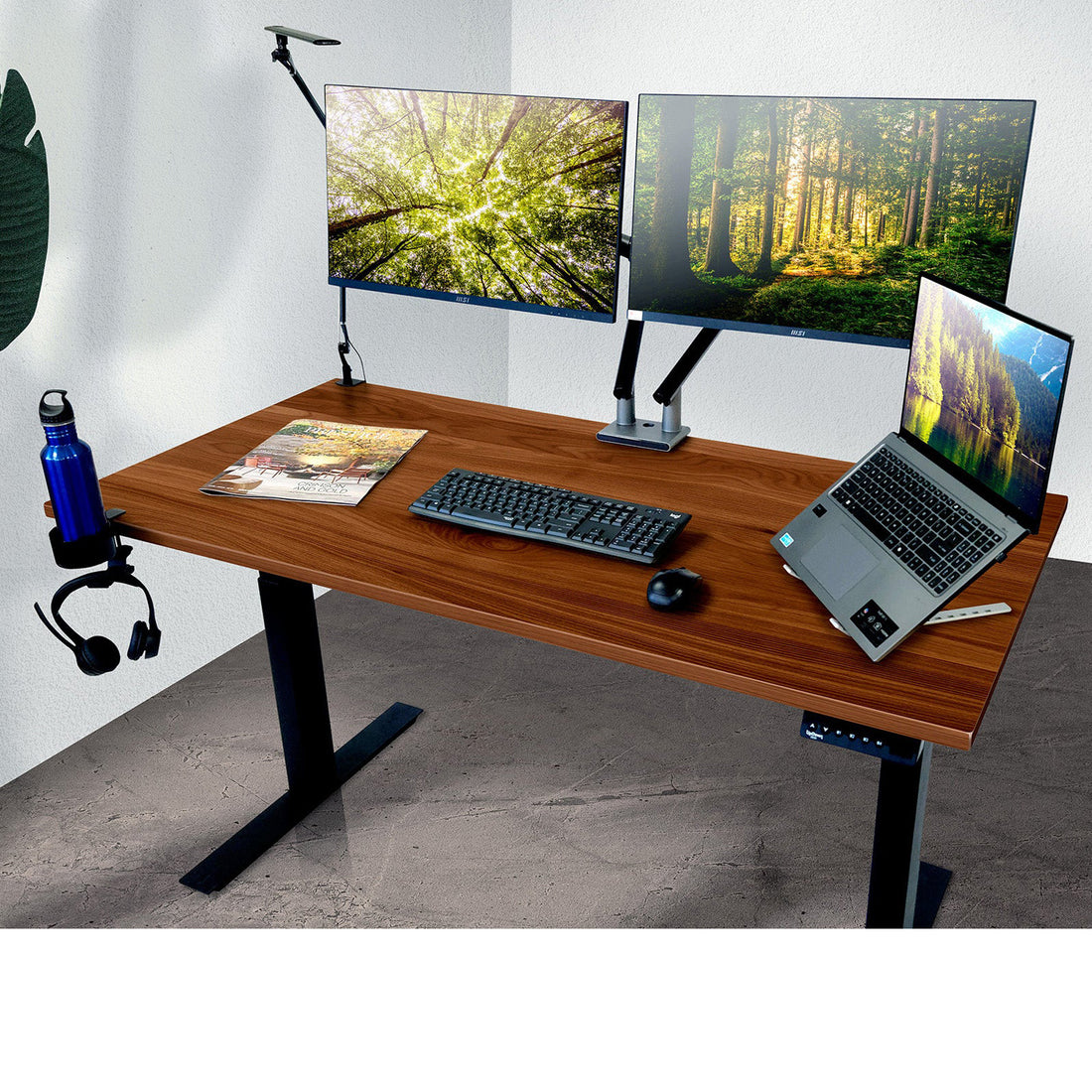 PRO Series Walnut Standing Desk