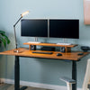 UpDown LED Desk Lamp